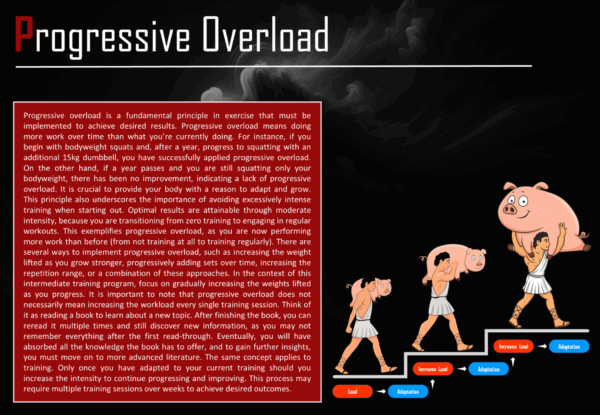 3x per week - beginner weight training program A and B - Image 9