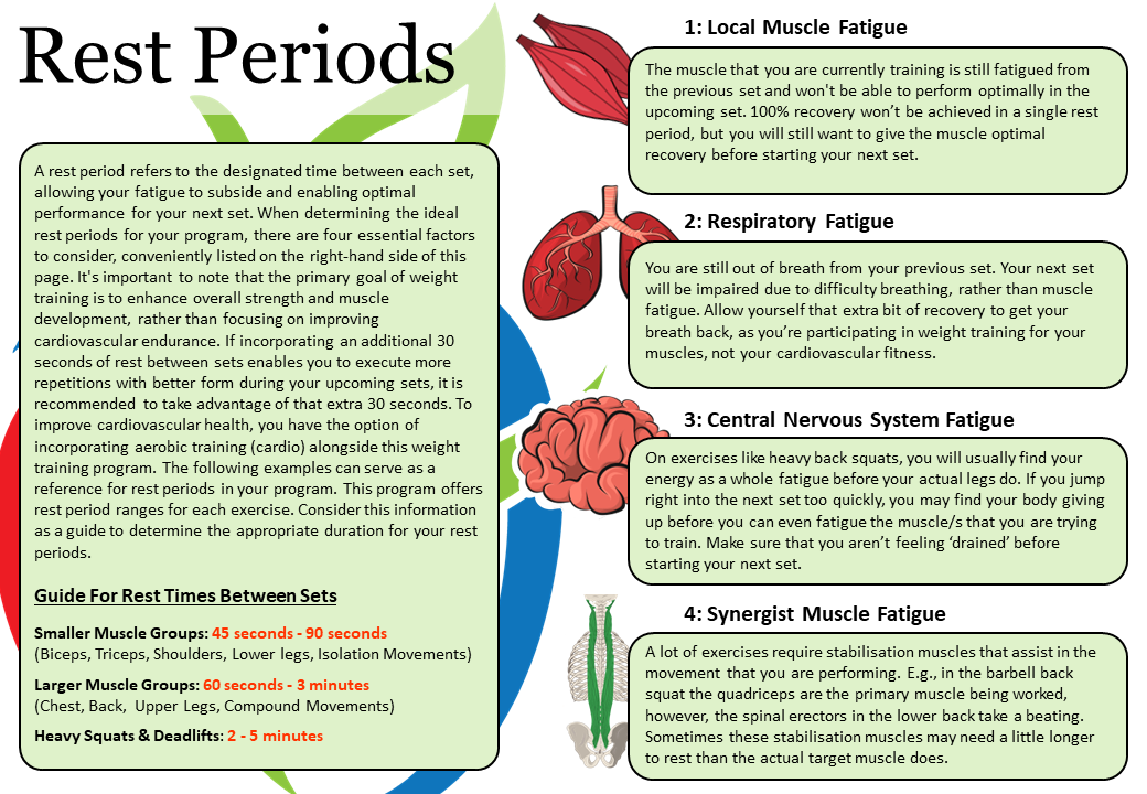 Rest Periods