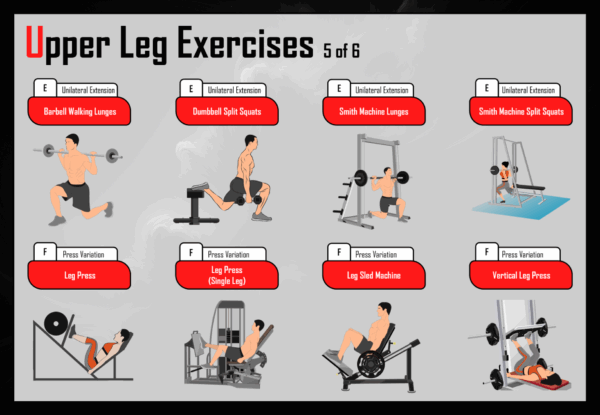 Flexible Weight Training Program Guide - Image 9