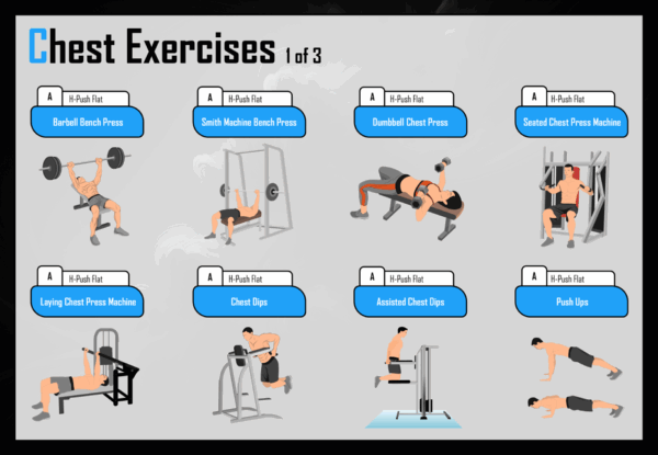 Flexible Weight Training Program Guide - Image 10