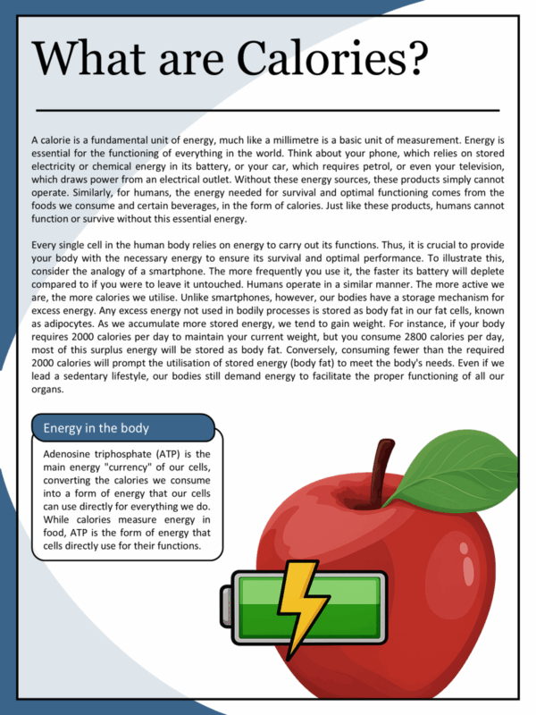 The Simple Health Blueprint - Image 18