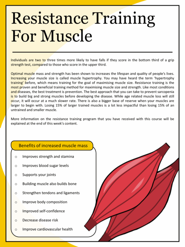 The Simple Health Blueprint - Image 10